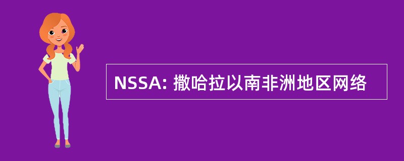 NSSA: 撒哈拉以南非洲地区网络