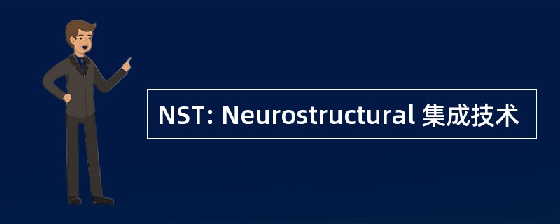 NST: Neurostructural 集成技术