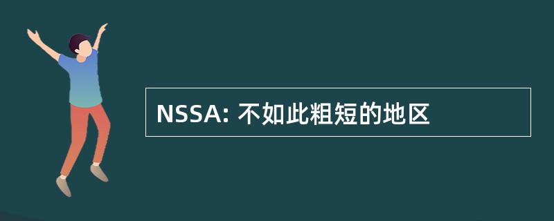 NSSA: 不如此粗短的地区