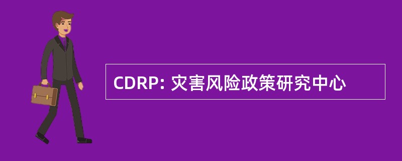 CDRP: 灾害风险政策研究中心