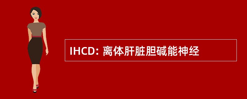 IHCD: 离体肝脏胆碱能神经