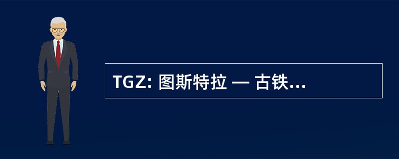 TGZ: 图斯特拉 — 古铁雷斯，墨西哥的恰帕斯州-大草原 San Juan