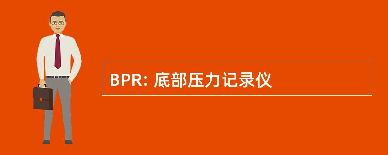 BPR: 底部压力记录仪