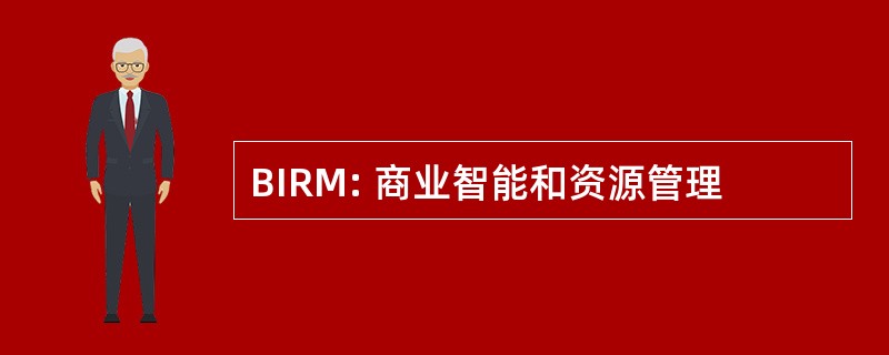 BIRM: 商业智能和资源管理