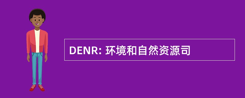 DENR: 环境和自然资源司