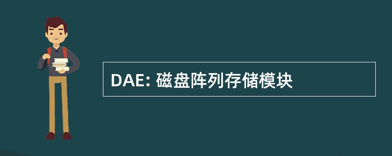 DAE: 磁盘阵列存储模块