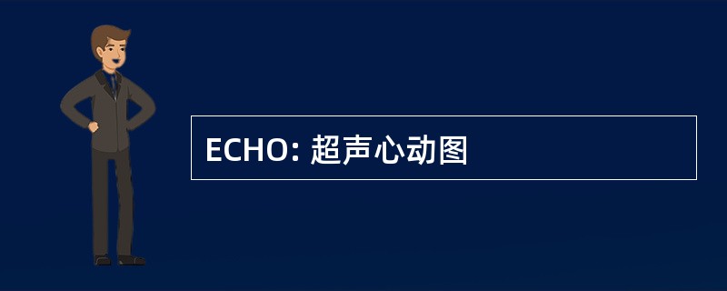 ECHO: 超声心动图