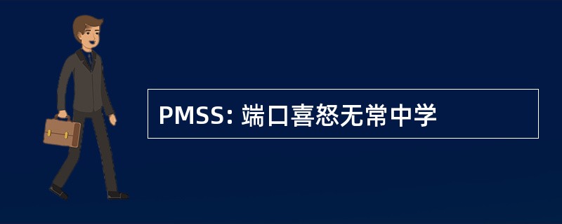 PMSS: 端口喜怒无常中学