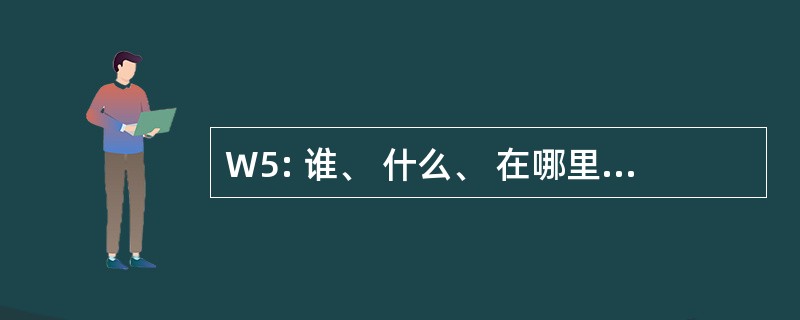 W5: 谁、 什么、 在哪里，当 & 为什么