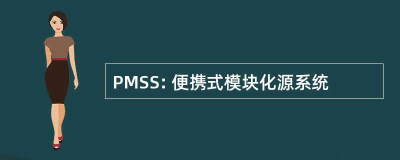 PMSS: 便携式模块化源系统