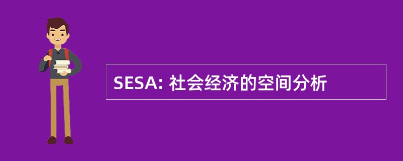 SESA: 社会经济的空间分析