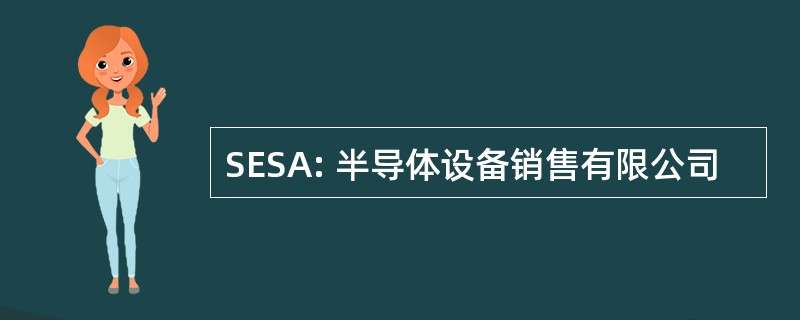 SESA: 半导体设备销售有限公司