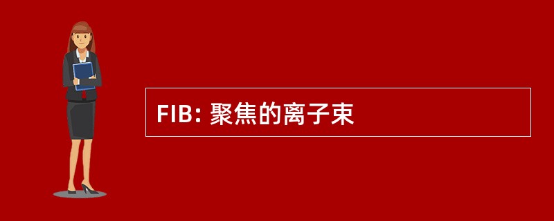 FIB: 聚焦的离子束