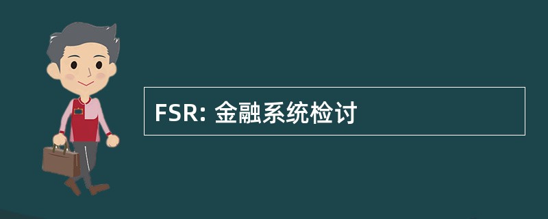 FSR: 金融系统检讨