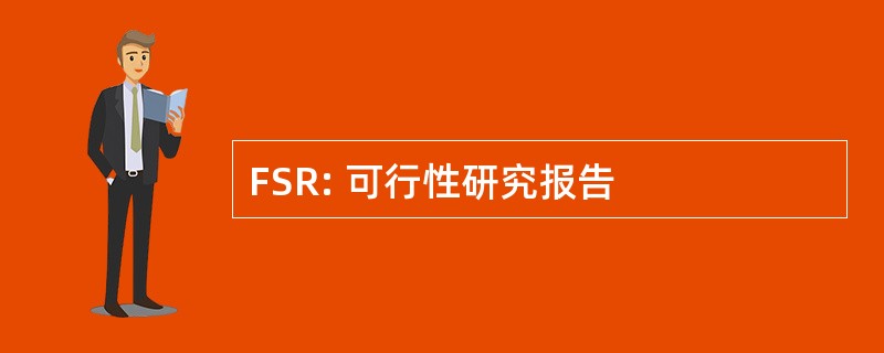 FSR: 可行性研究报告