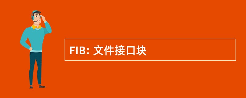 FIB: 文件接口块