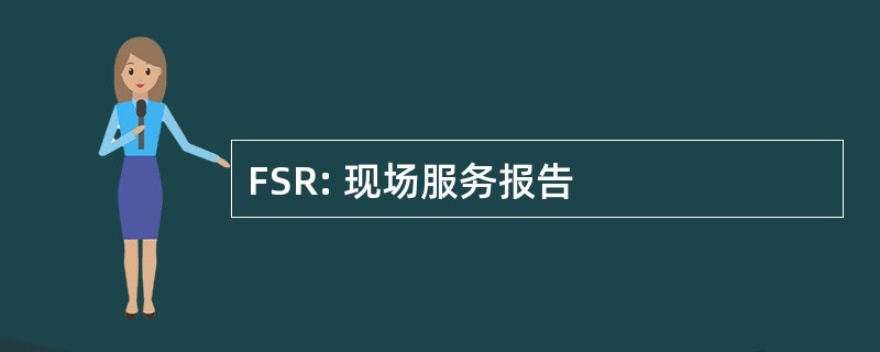 FSR: 现场服务报告