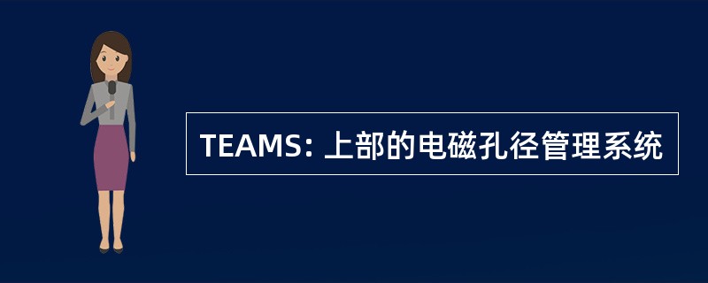 TEAMS: 上部的电磁孔径管理系统