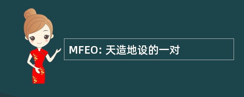 MFEO: 天造地设的一对