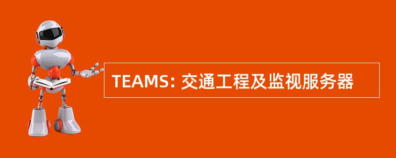 TEAMS: 交通工程及监视服务器