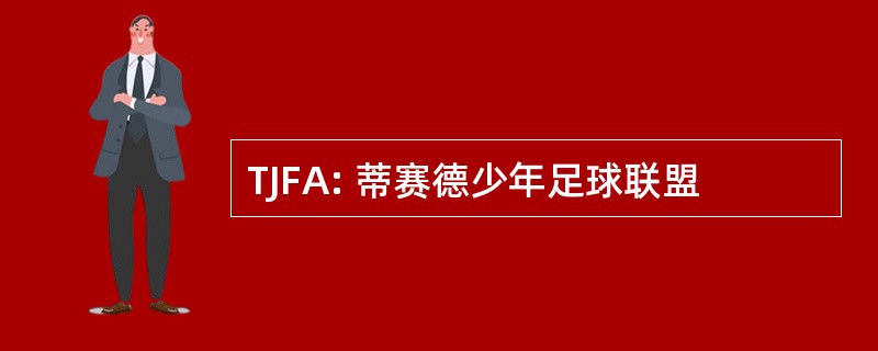 TJFA: 蒂赛德少年足球联盟