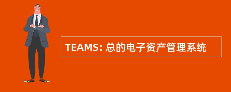 TEAMS: 总的电子资产管理系统