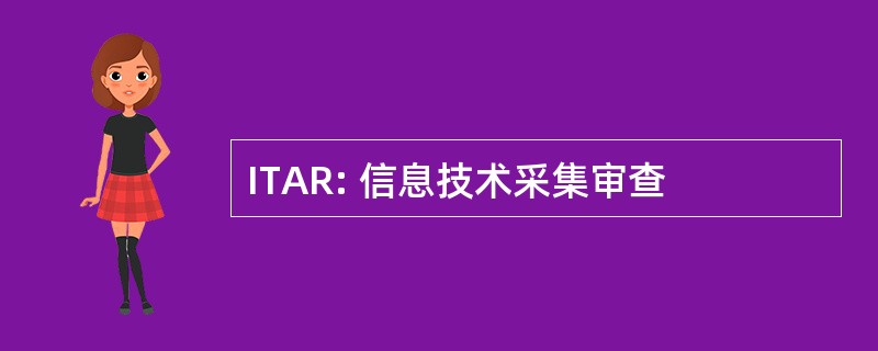 ITAR: 信息技术采集审查