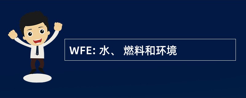 WFE: 水、 燃料和环境