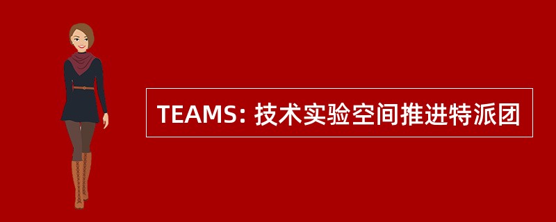 TEAMS: 技术实验空间推进特派团