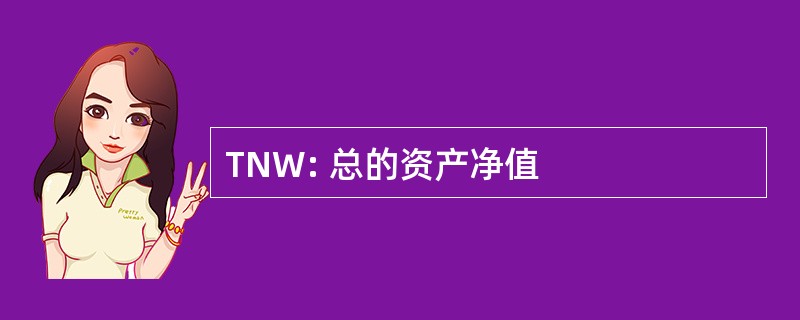 TNW: 总的资产净值