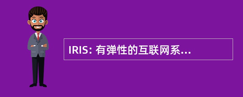 IRIS: 有弹性的互联网系统的基础设施