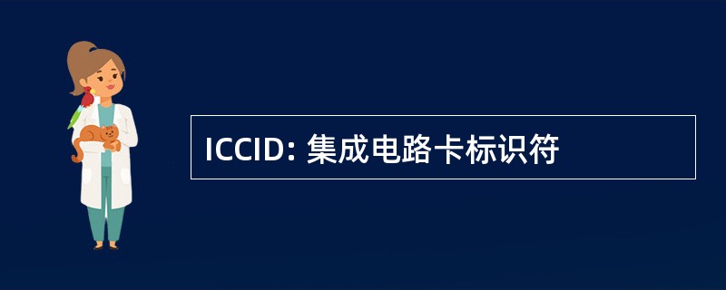 ICCID: 集成电路卡标识符