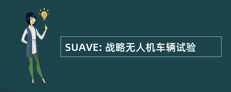 SUAVE: 战略无人机车辆试验