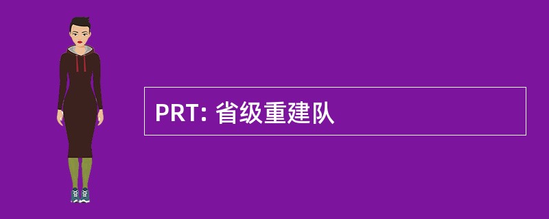 PRT: 省级重建队