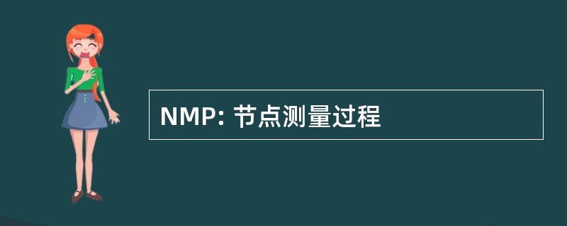 NMP: 节点测量过程