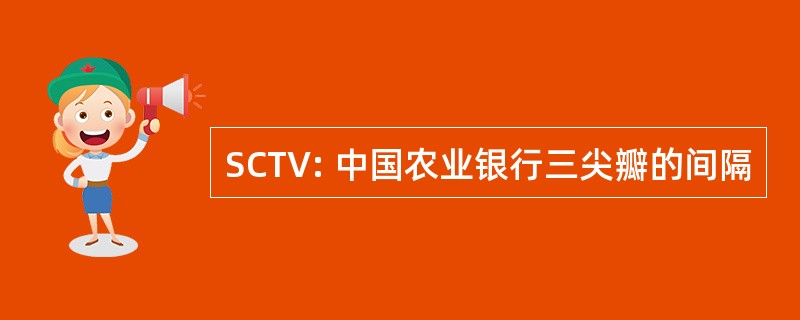 SCTV: 中国农业银行三尖瓣的间隔