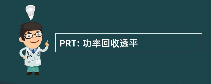 PRT: 功率回收透平