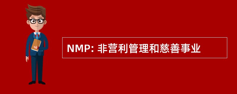 NMP: 非营利管理和慈善事业