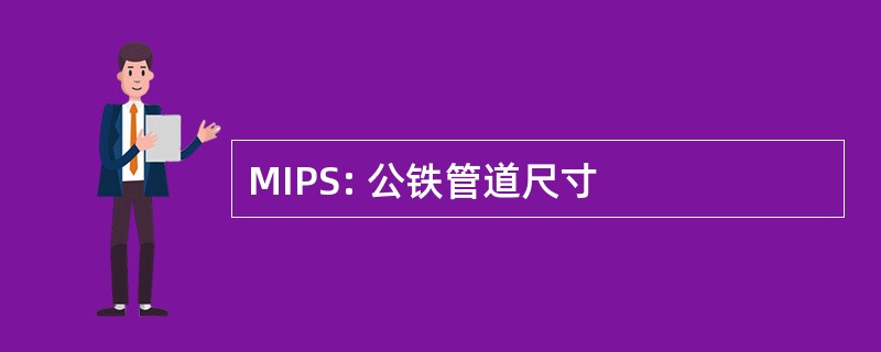 MIPS: 公铁管道尺寸