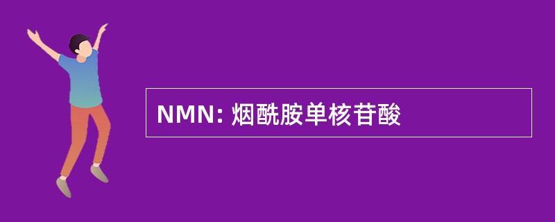 NMN: 烟酰胺单核苷酸