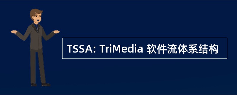 TSSA: TriMedia 软件流体系结构