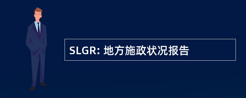 SLGR: 地方施政状况报告