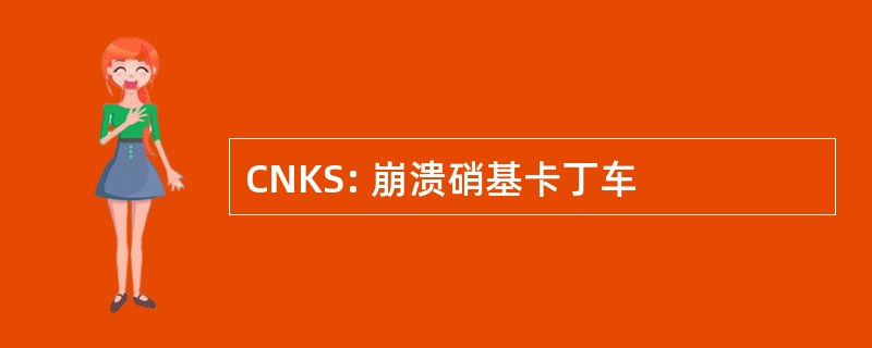 CNKS: 崩溃硝基卡丁车