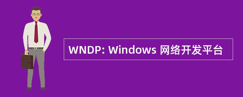 WNDP: Windows 网络开发平台