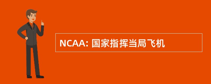 NCAA: 国家指挥当局飞机