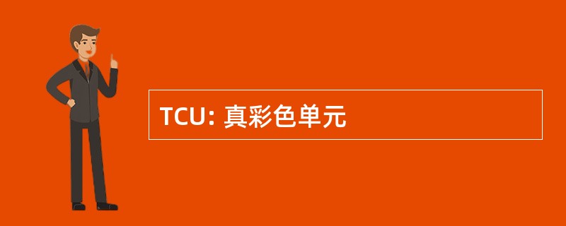 TCU: 真彩色单元