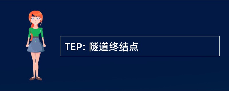 TEP: 隧道终结点