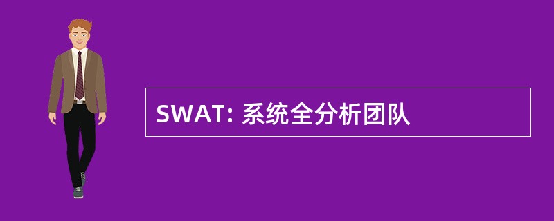 SWAT: 系统全分析团队