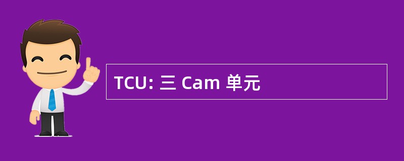 TCU: 三 Cam 单元