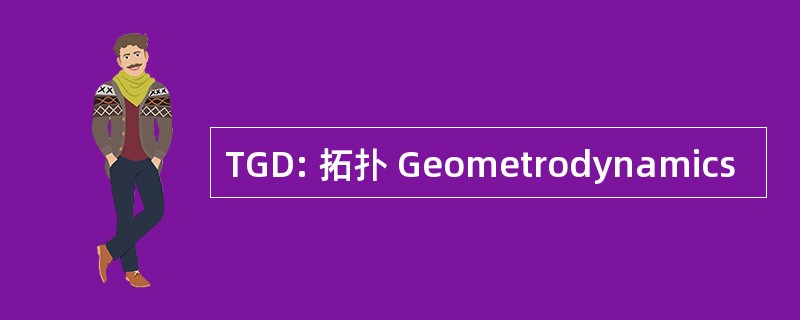 TGD: 拓扑 Geometrodynamics